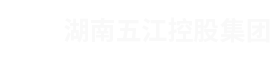 湖南j9九游会控股集团有限公司